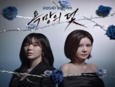 مسلسل فخ يدعى الرغبة A Trap Called Desire الحلقة 24 الرابعة والعشرون مترجمة