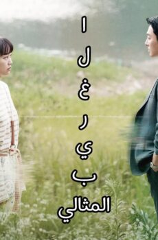 الغريب المثالي My Perfect Stranger
