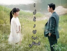 مسلسل الغريب المثالي My Perfect Stranger الحلقة 15 الخامسة عشر مترجمة