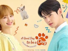 مسلسل يوم جيد لتصبحي كلبة A Good Day to Be a Dog الحلقة 5 الخامسة مترجمة