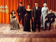 مسلسل شراب التوت الموسم 4 الحلقة 133