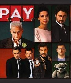 الحصة