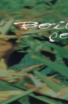 فيلم Boiling Point 1990 مترجم