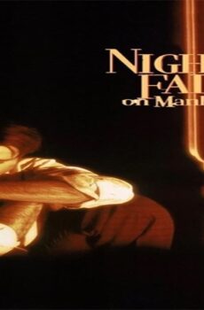 فيلم Night Falls on Manhattan 1996 مترجم