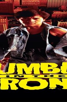 فيلم Rumble in the Bronx 1995 مترجم
