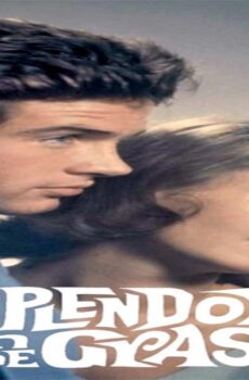 فيلم Splendor in the Grass 1961 مترجم