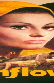 فيلم Sunflower 1970 مترجم