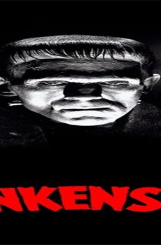فيلم Frankenstein 1931 مترجم
