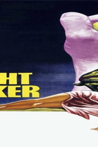 فيلم The Night Walker 1964 مترجم