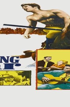 فيلم Flaming Star 1960 مترجم