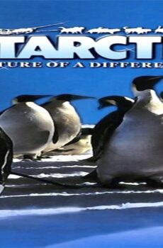 فيلم Antarctica 1991 مترجم
