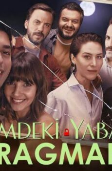 فيلم غريب في جيبي 2018 مترجم