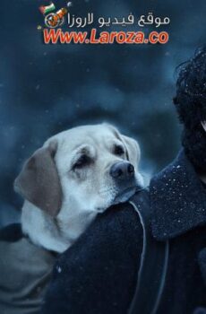 فيلم Charlie 777 مترجم