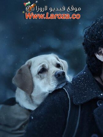 فيلم Charlie 777 مترجم