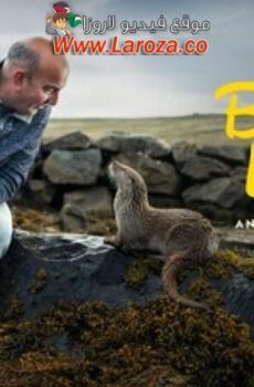 فيلم Billy & Molly: An Otter Love Story 2024 مترجم
