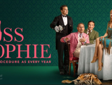 مسلسل Miss Sophie Same Procedure As Every Year الحلقة 4 مترجمة