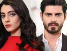 مسلسل العروس الحلقة 20 العشرون مترجمة