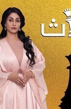 مسلسل الميراث الحلقة 516