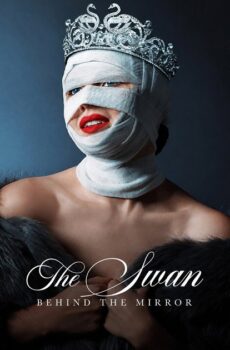 فيلم The Swan Behind the Mirror 2026 مترجم