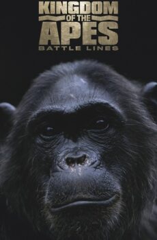 فيلم Kingdom of the Apes Battle Lines 2017 مترجم