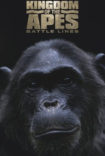فيلم Kingdom of the Apes Battle Lines 2017 مترجم
