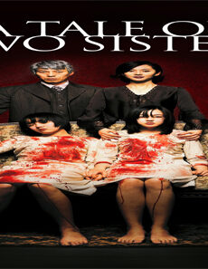 فيلم A Tale Of Two Sisters 2003 مترجم