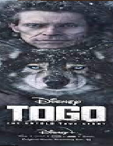 فيلم Togo 2019 مترجم