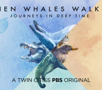 فيلم When Whales Walked Journeys In Deep Time 2019 مترجم