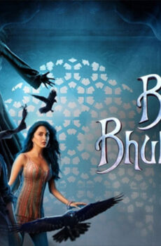 فيلم Bhool Bhulaiyaa 2 2022 مترجم