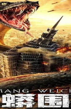 فيلم Snake Fall of a City 2020 مترجم