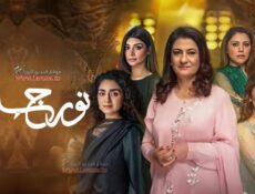 مسلسل نور جهان الحلقة 7 السابعة مدبلجة