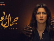 مسلسل جمال الحريم الحلقة 26 السادسة والعشرون