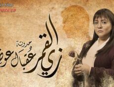 مسلسل زي القمر – عقبال عوضك الحلقة 3 الثالثة
