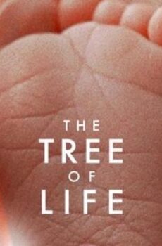 فيلم The Tree of Life 2011 مترجم