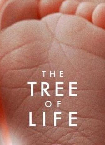 فيلم The Tree of Life 2011 مترجم