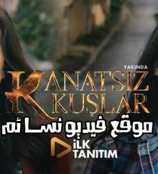 طيور بلا أجنحة