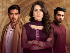 مسلسل الفداء الحلقة 30 مدبلجة