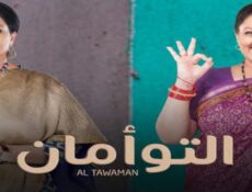 مسلسل التوأمان الحلقة 33 مدبلجة