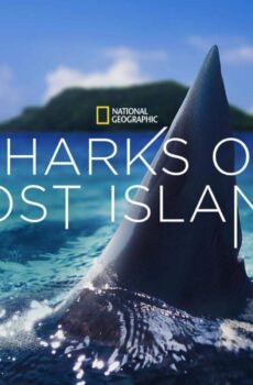 فيلم Sharks of Lost Island 2013 مترجم