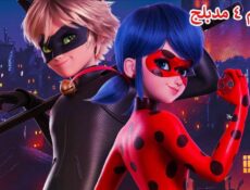 انمي الدعسوقة و القط الأسود الموسم 4 الحلقة 10 مدبلجة