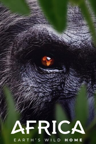 Africa Earth’s Wild Home