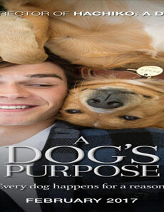 فيلم A Dogs Purpose 2017 مترجم