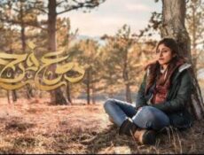 مسلسل دموع فرح الحلقة 6 السادسة