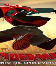 فيلم Spider Man Into the Spider Verse 2018 الرجل العنكبوت مترجم