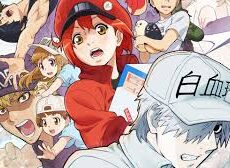 Hataraku Saibou