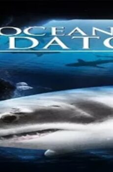 فيلم Ocean Predators 2013 مترجم