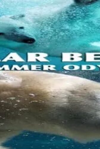 فيلم Polar Bears: A Summer Odyssey 2012 مترجم