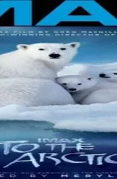 فيلم To the Arctic 2012 مترجم