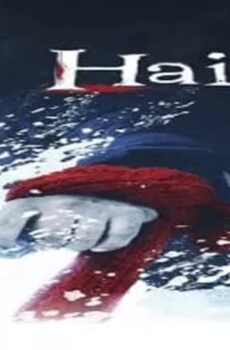 فيلم Haider 2014 مترجم