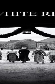 فيلم The White Ribbon 2009 مترجم